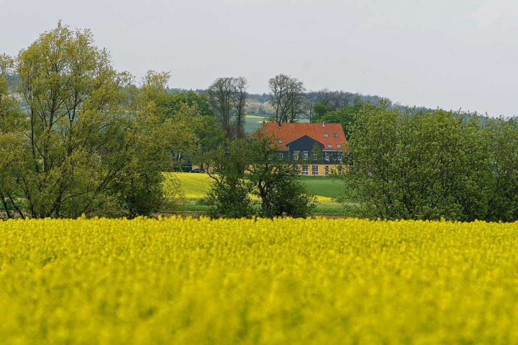 Landhaus Heidekrug Hildesheim Esterno foto